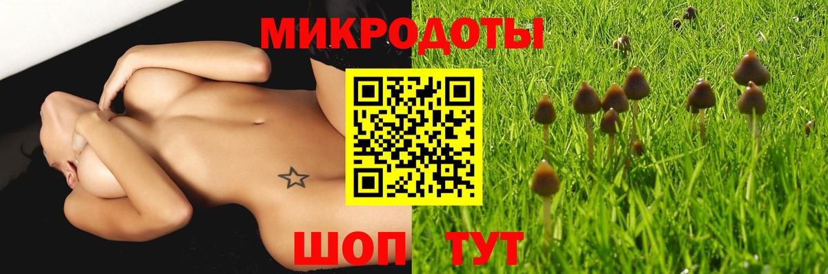 Галлюциногенные грибы мухоморы Лабытнанги