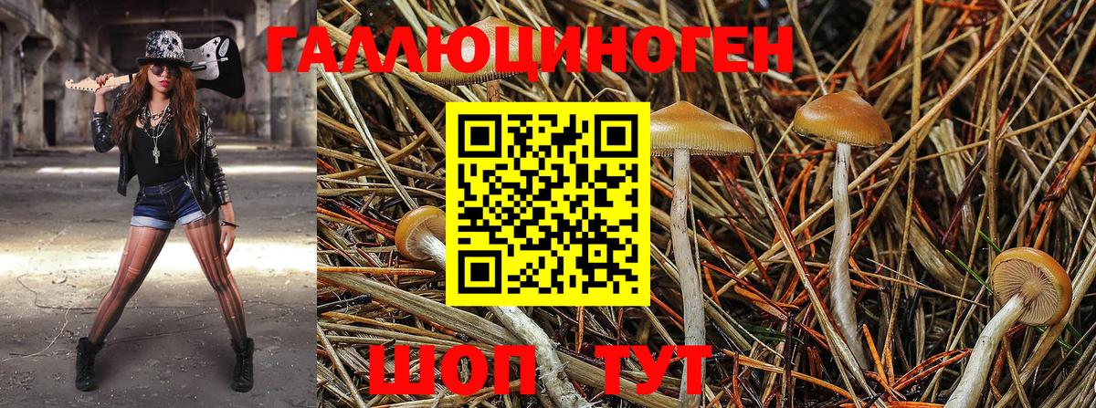 Галлюциногенные грибы Magic Shrooms  Вход с VPN  Галлюциногенные грибы Cubensis  купить  цена  Лабытнанги 